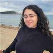 Python tutor teaches student for all ages